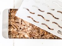 Caja ahumadora - Image 2